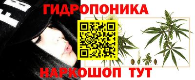 ГАЛЛЮЦИНОГЕННЫЕ ГРИБЫ Гатчина
